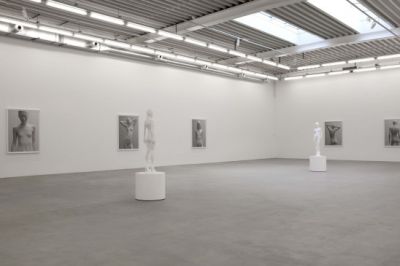 almine reich14x365