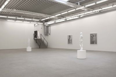 almine reich19x365