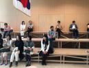 lhoas architectes architects mad tokyo brussels days scenography 11x411