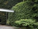 lhoas lhoas architectes poolhouse 07 1600pxx365