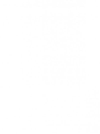 blanc site webx731