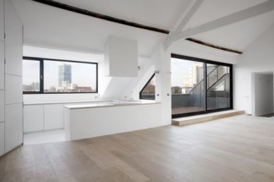 xboris02x365.jpg.pagespeed.ic.75Xo0A6GvV