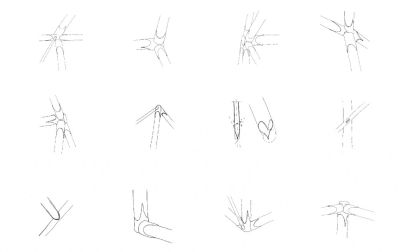 xlhoas architectes architects carole christophe kitchen credits maxime delvaux  7x717.jpg.pagespeed.ic.40Xe0sKDID