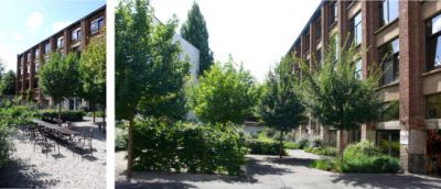 xlhoas architectes architects chapeau 62 chared housing mixed use 2x236.jpg.pagespeed.ic.rjgfMc5lDV