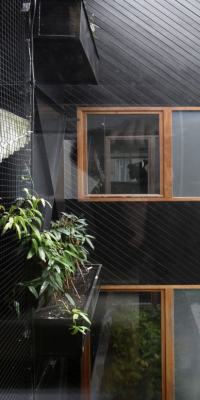 xdsc4057x824.jpg.pagespeed.ic.vW0pq7qlC8