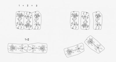 xlhoas architectes architects phillips paris rue du bac credits charlotte delval 17x292.jpg.pagespeed.ic.wYnPqJerdR