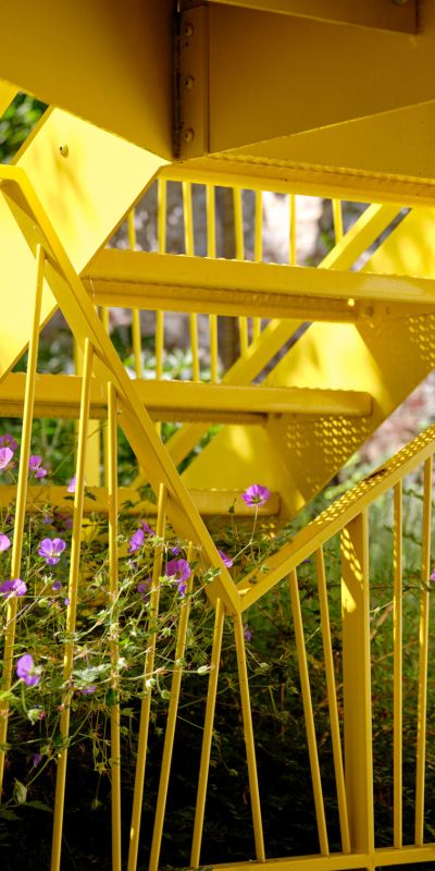 zodiaque web 05x1515