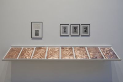 lhoas architectes architects biennale venise alessandra bello 72x365